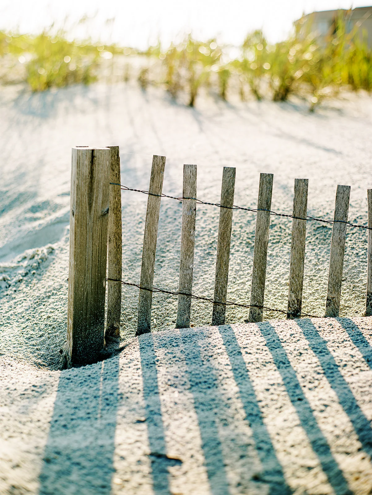 Light and long fence shadows crossing pale coastal sand
