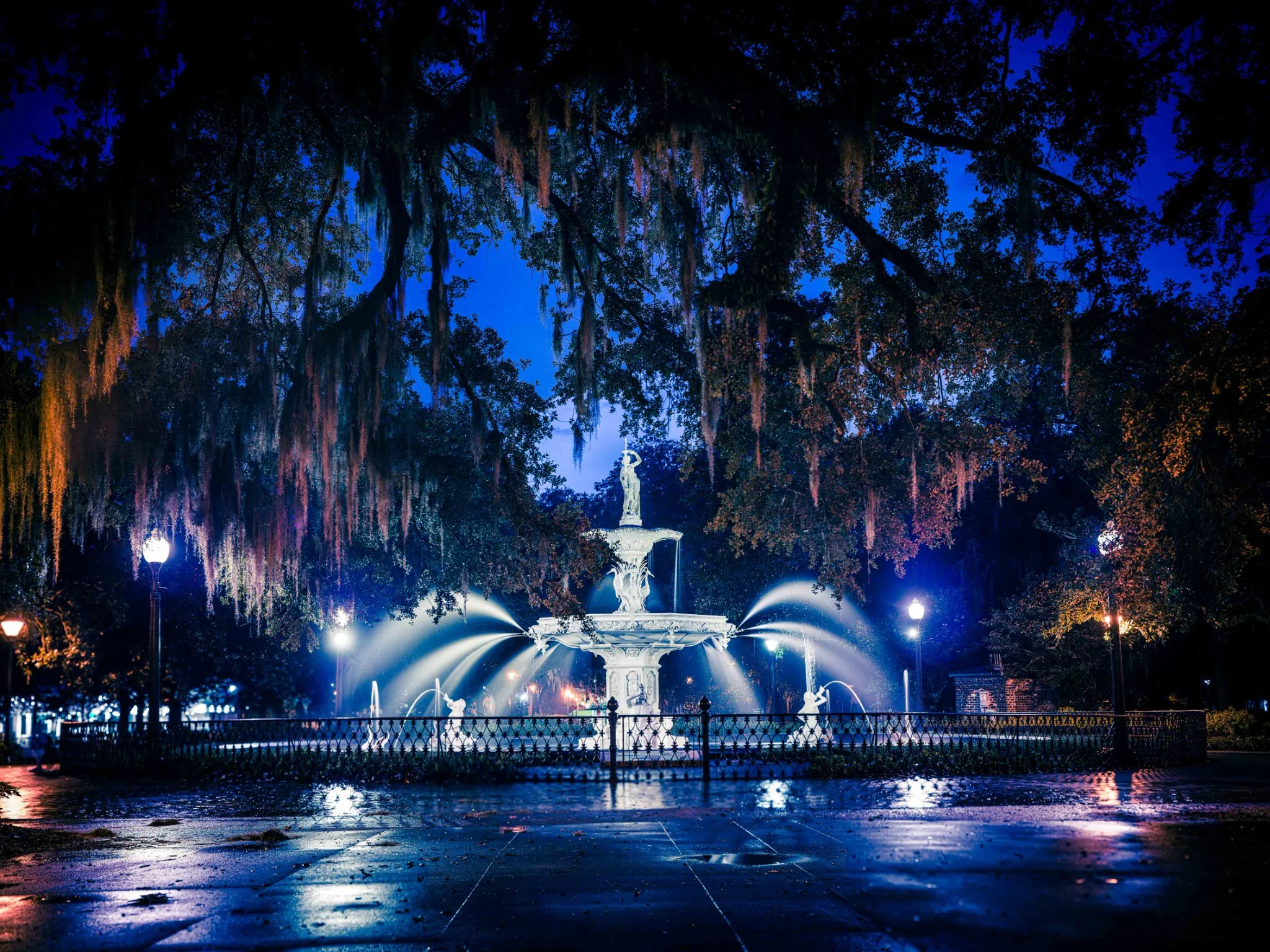 Illuminated fountain and wet plaza beneath trees at night.
