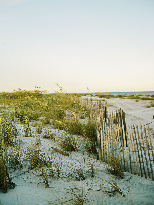Dune grasses and a sand fence leading toward the ocean at Sea Pines on Hilton Head Island