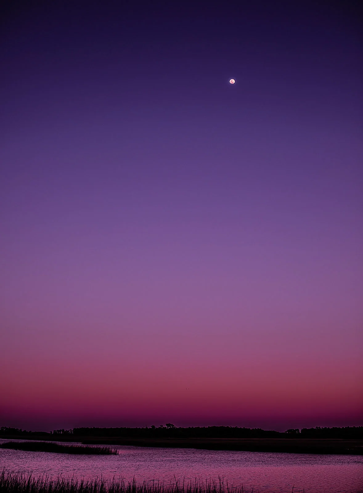Violet and rose twilight sky above a dark shoreline, with a small bright point of light.