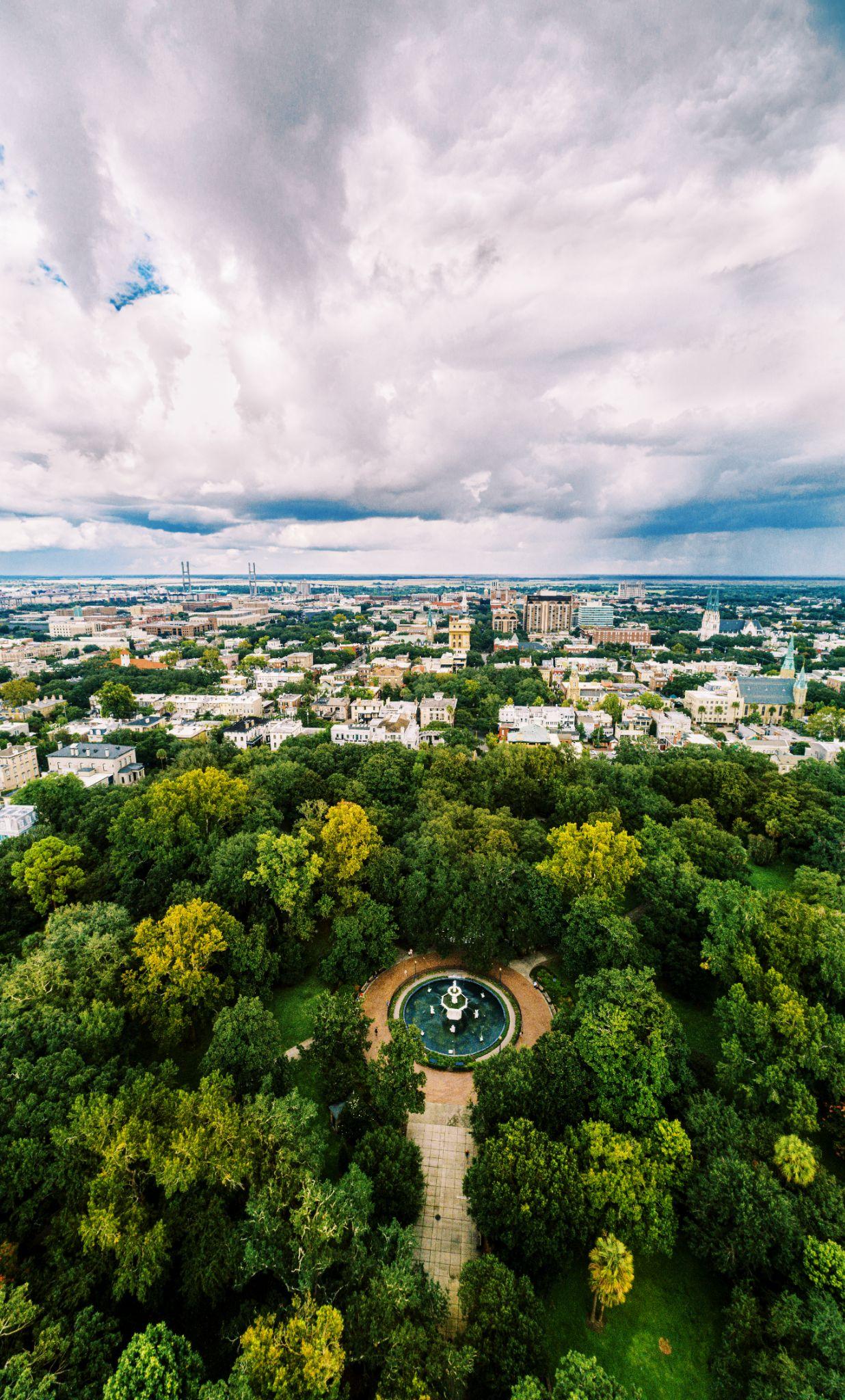Elevated view of Forsyth Park fountain and surrounding tree canopy with Savannah skyline beyond