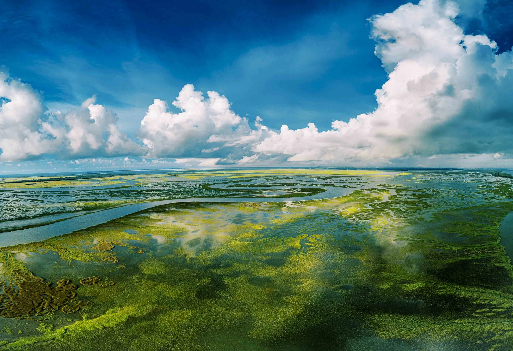 Aerial view of green tidal marsh, waterways and large white clouds.